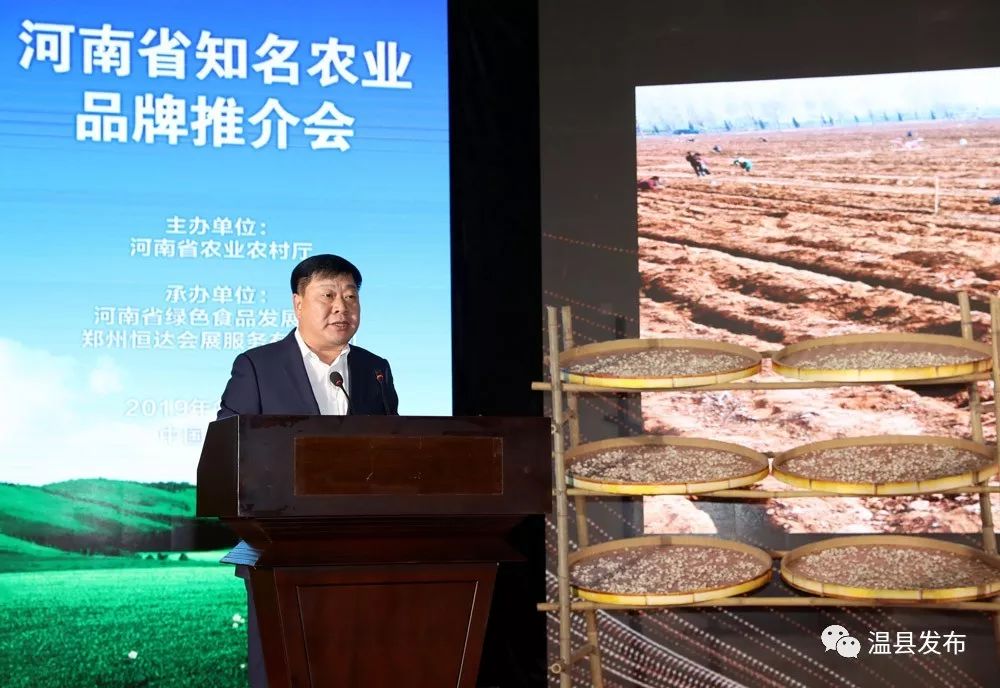 温县的铁棍山药,温县铁棍山药价格