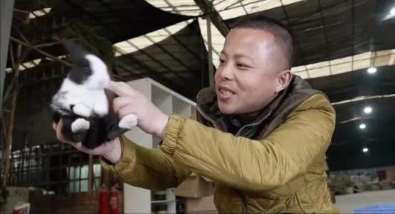 农村小伙养巴哥犬一年赚10万,小伙开宠物乐园年赚1800万