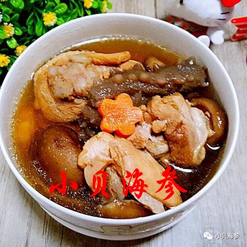 鸡蛋与海参哪个更有营养,虫草和海参哪个更营养