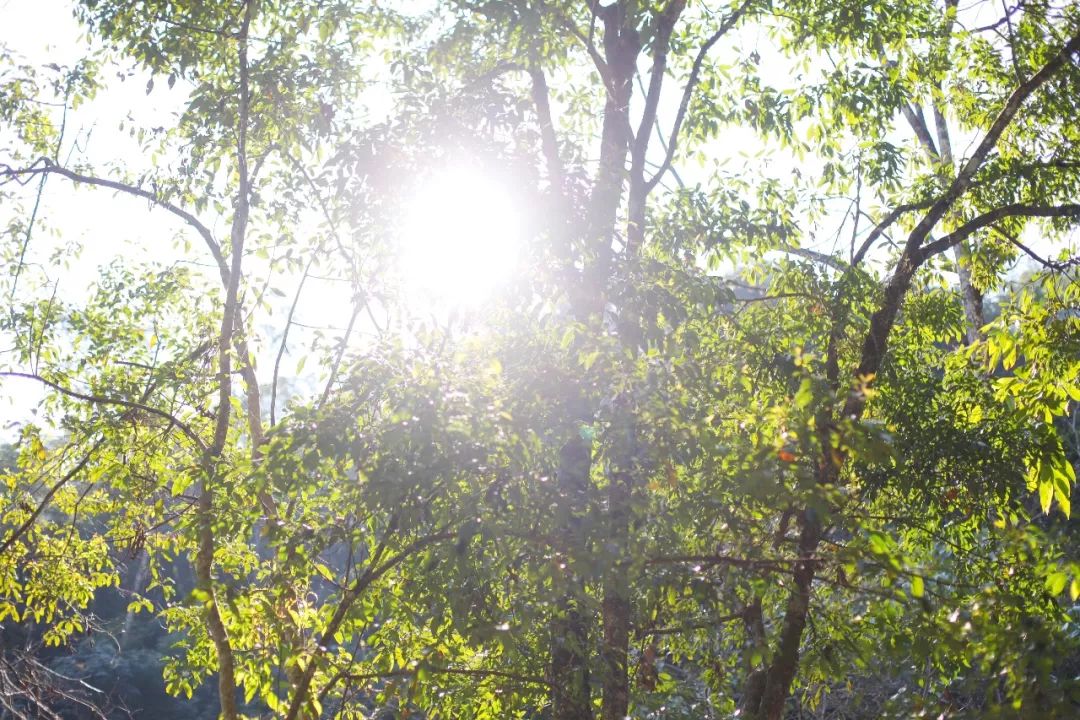 极边之城腾冲，来这里必做的八件事，否则白来了