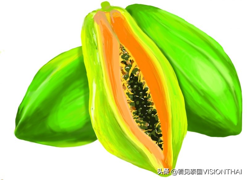 认识50种水果蔬菜,认识热带水果菠萝