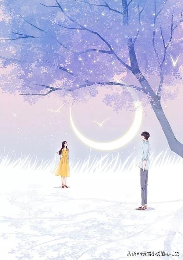 现言男女主双强宠文小说推荐,6本无男主女强文推荐