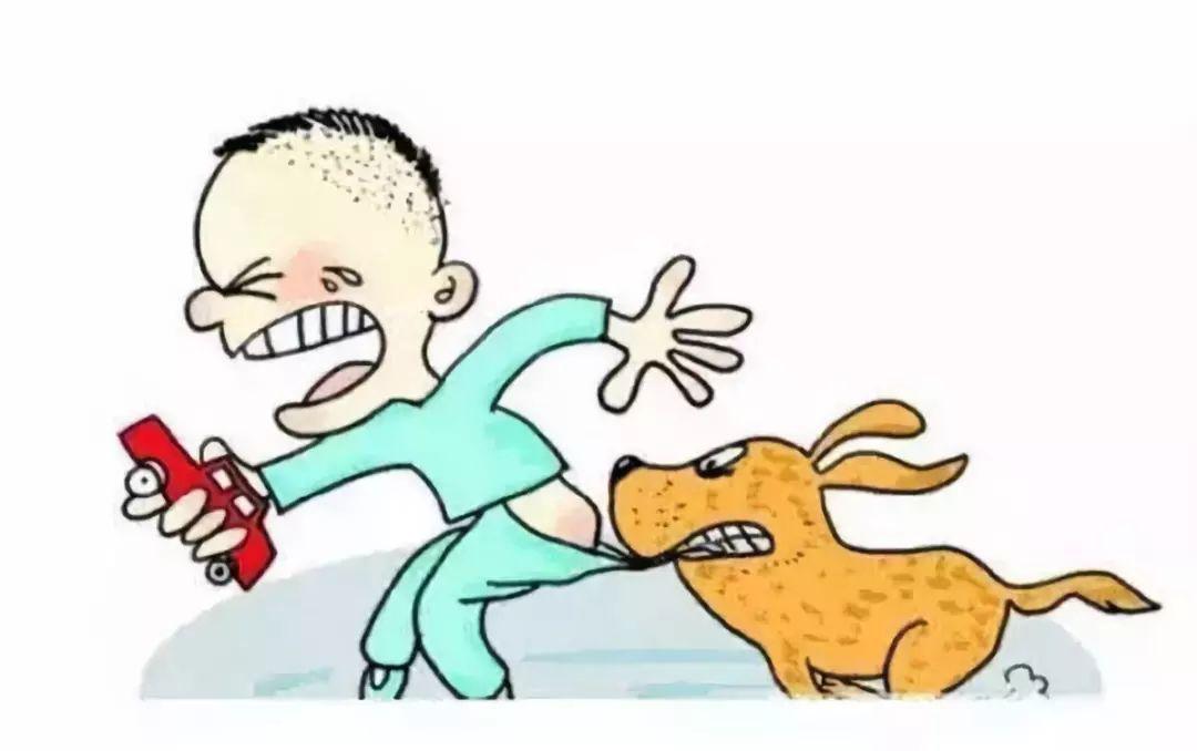 被流浪狗咬了谁负责,街上被流浪狗咬了谁负责