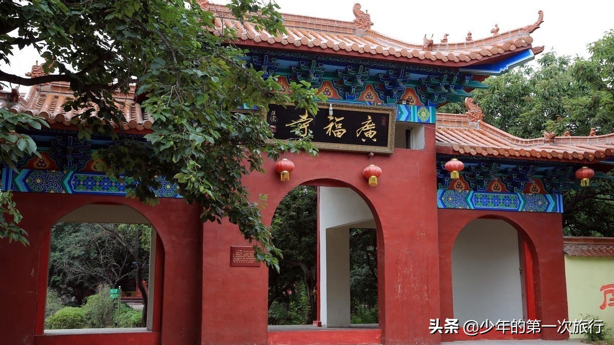 山东临沂哪里的银杏最多,临沂看银杏的最佳地点