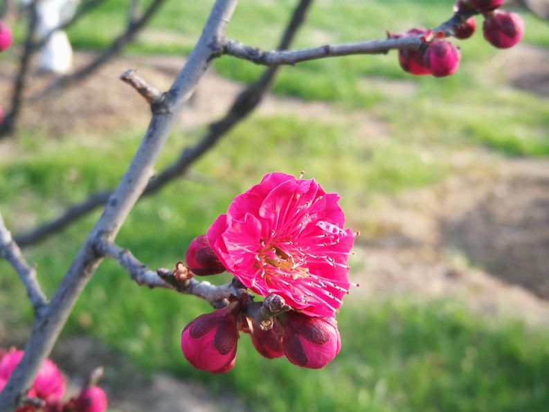 漫步河畔公园全景图,漫步公园美景