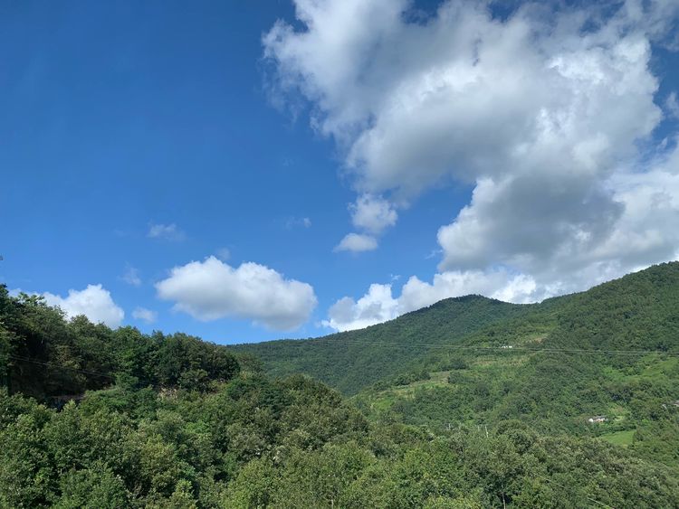 秦岭里飞出的“土蜂蜜”-------陕西省龙草坪林业局发展中蜂见闻