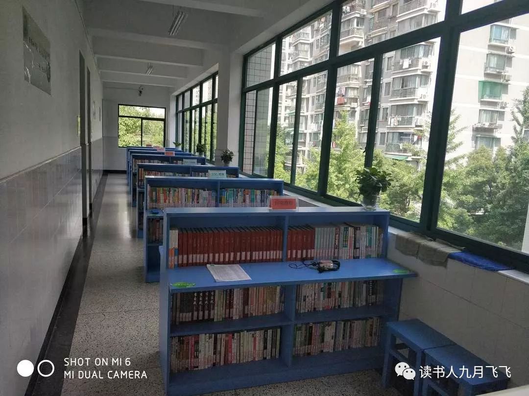 杭州嘉绿苑中学录取率,杭州嘉绿苑中学招生