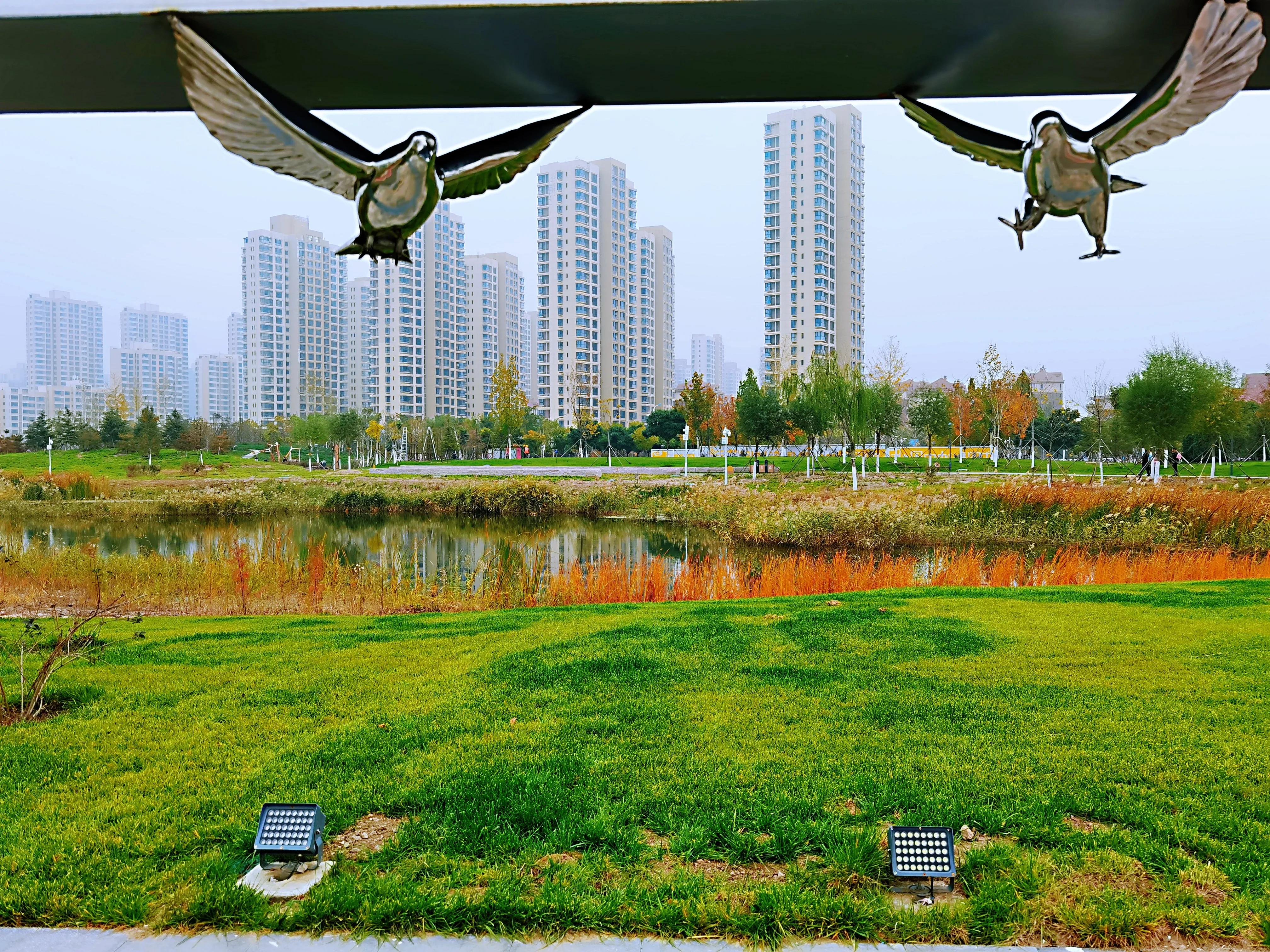 梅江公园风景区特点,信宜梅江公园