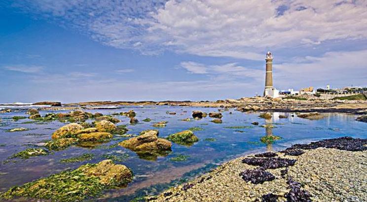 成功推开中国大门!南美一国对华出口5万头肥牛,澳洲再迎痛击