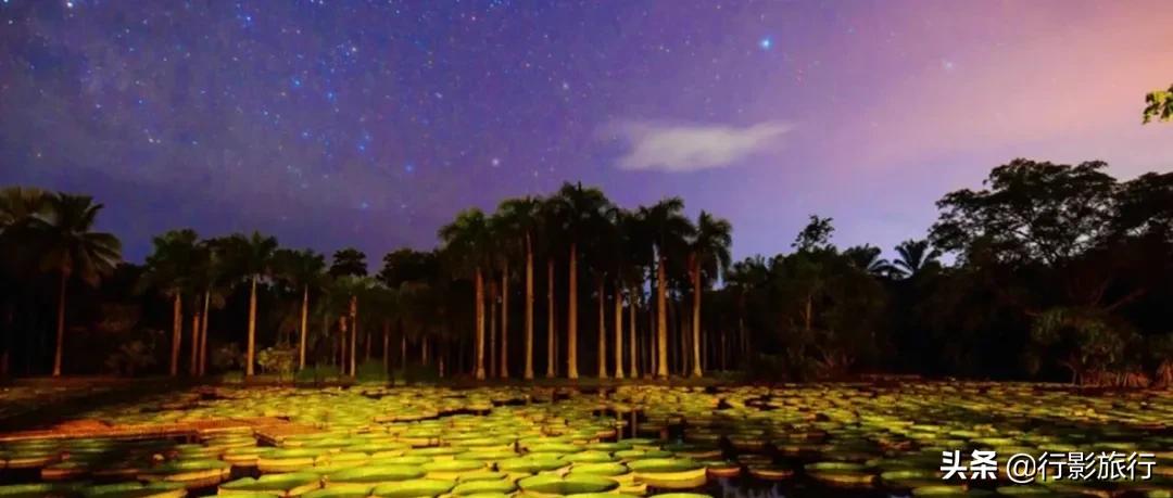 云南西双版纳地方介绍,云南西双版纳旅游简介