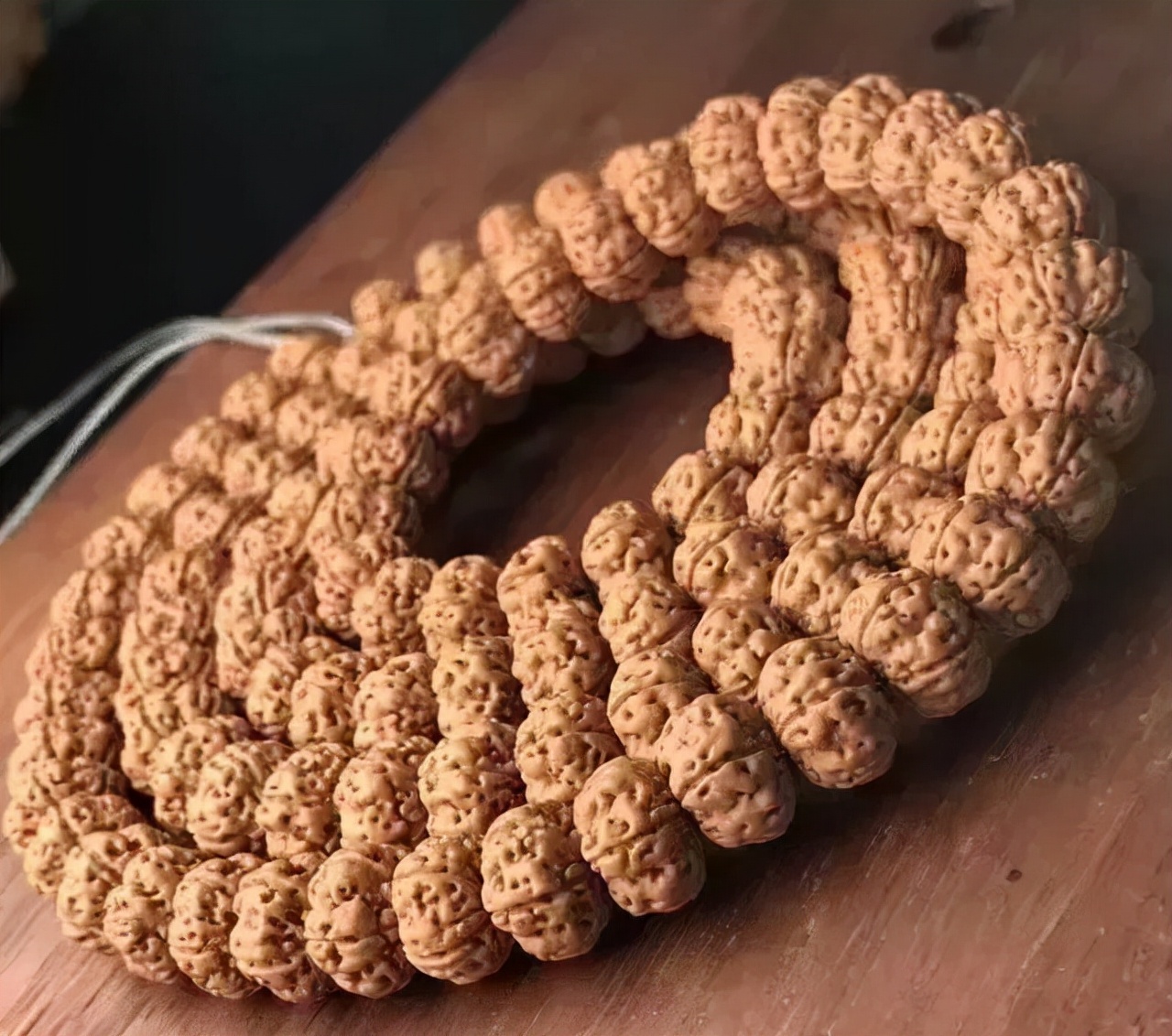 金刚菩提为什么不变色,金刚菩提为什么盘了很久都不红