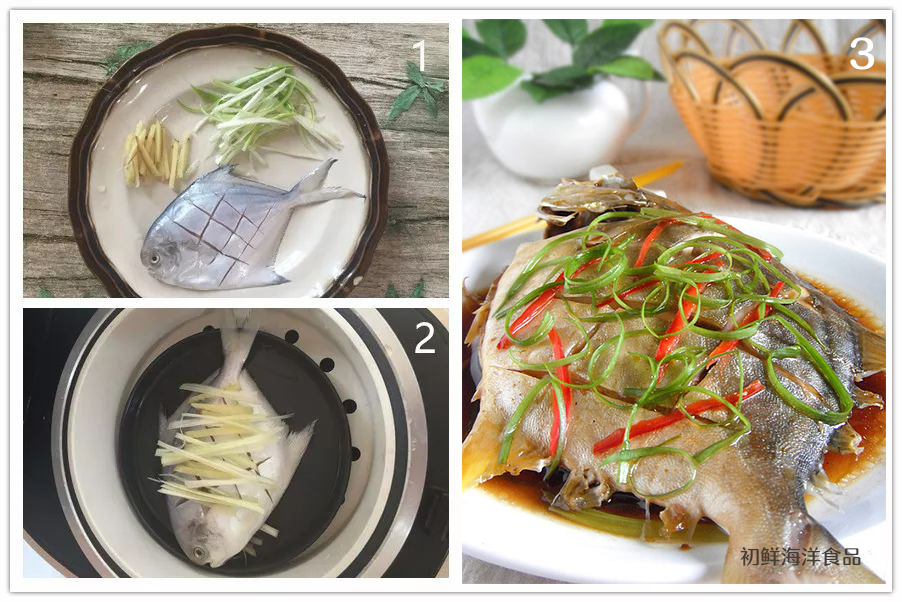 银鲳鱼的冷知识,银鲳鱼科普大全