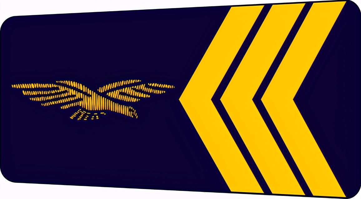 法国将军军衔等级,法国上校是什么军衔