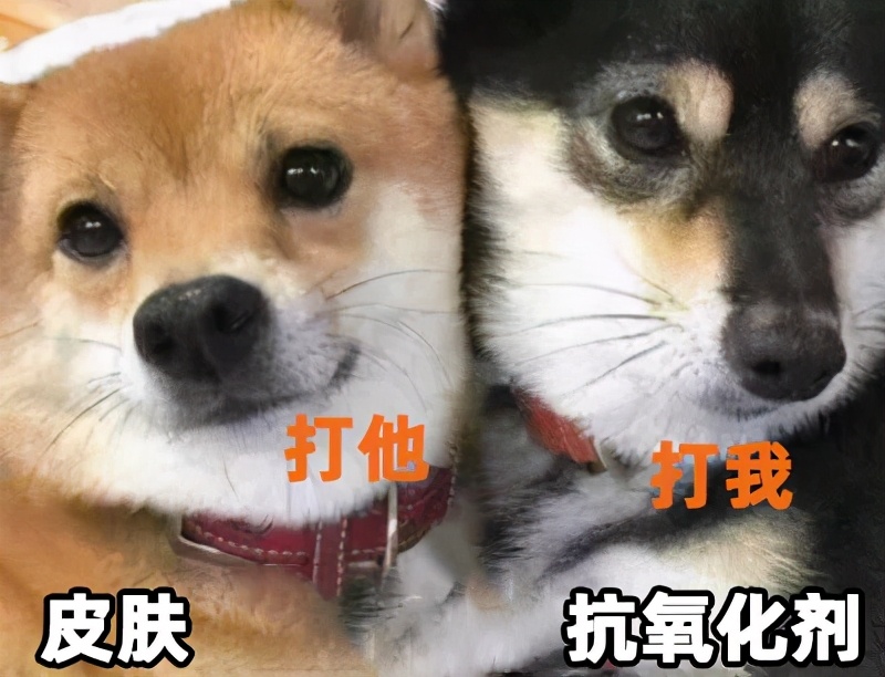 抗衰产品哪个品牌最好,性价比超高的油皮抗衰水