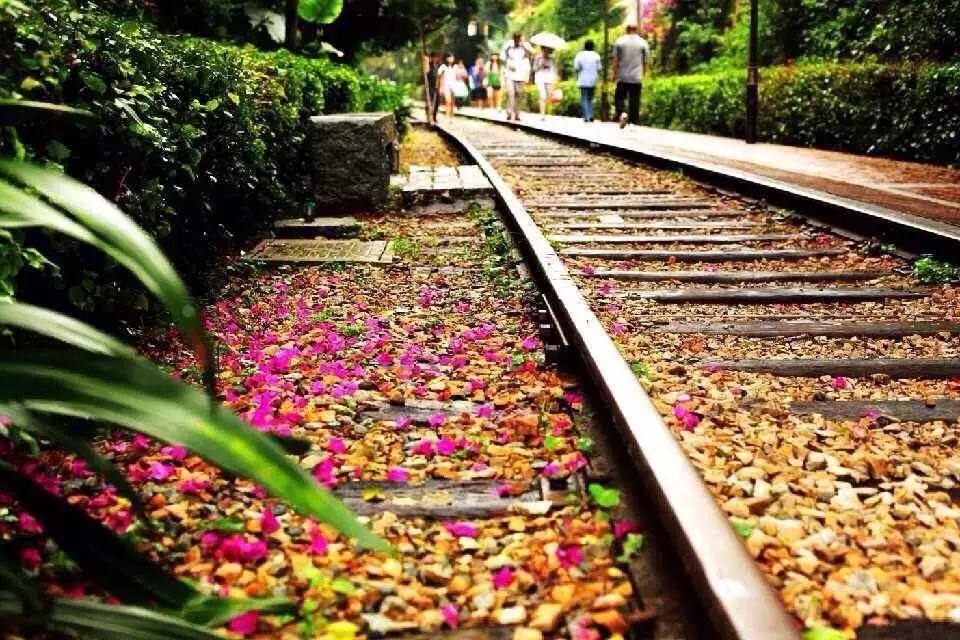 来厦门听海浪的声音,来厦门鼓浪屿说说