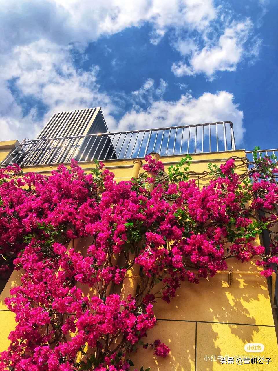 被大理的美景所折服,被丽江的风景美到了