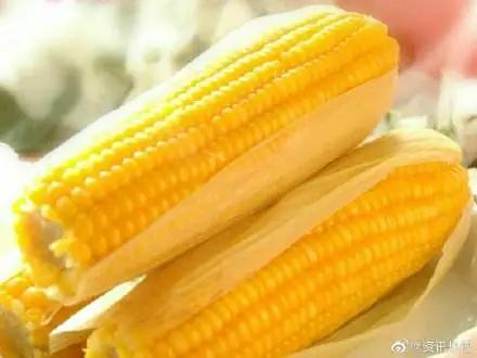 派乐优选丨夏天减肥还节什么食，多吃点玉米不好吗？