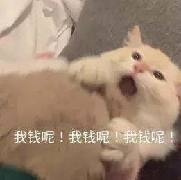 一见倾“新”|三分钟带你解锁校园简介及奖学助学