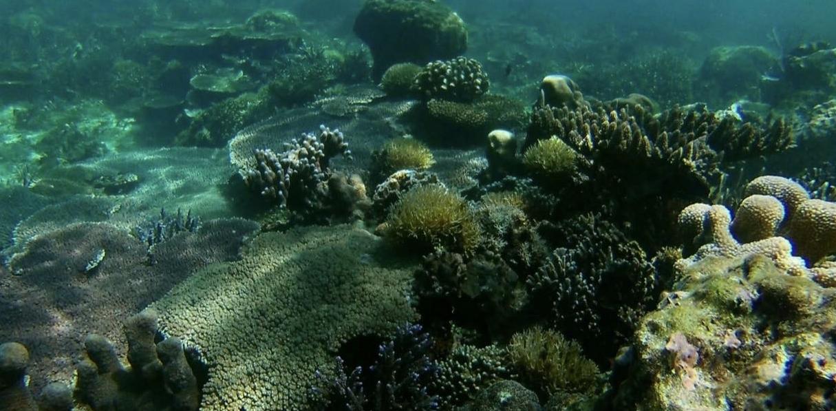 出发！风下之乡-马来西亚的蓝色天堂沙巴