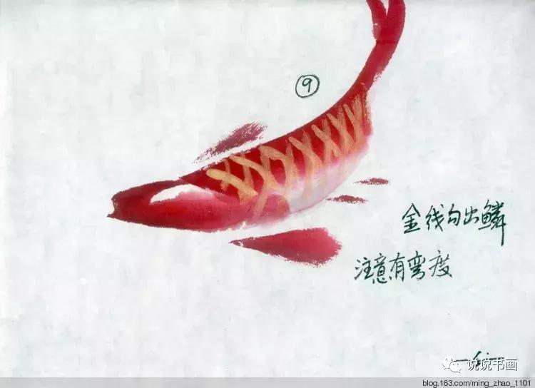 工笔画花鸟入门教程步骤图,国画教学工笔花鸟燕子的重彩画法