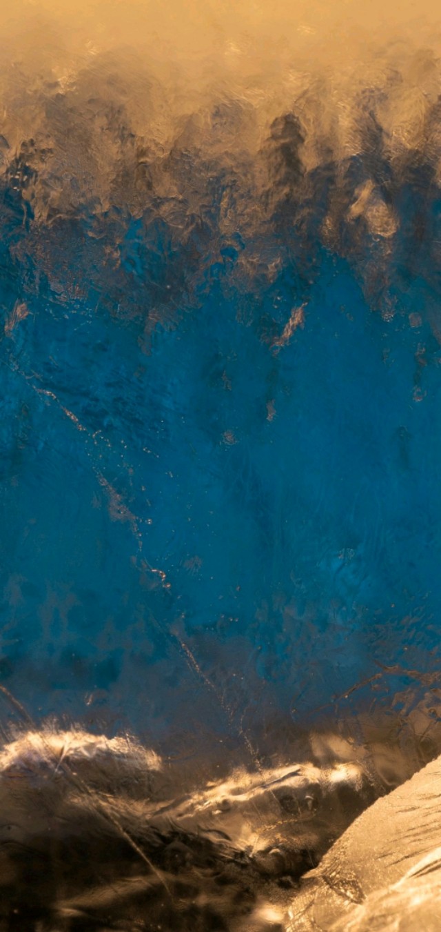 壁纸超清风景动物老虎,壁纸萌宠老虎