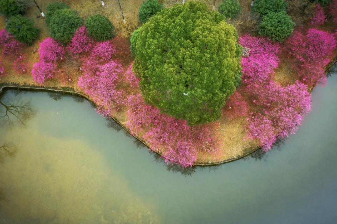 杭州美职学校风景,杭州美丽学校评选