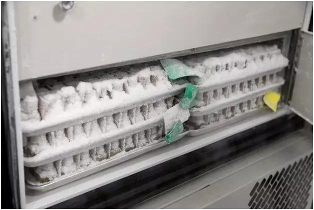 热搜第一粪菌移植治疗自闭症,厦门医院粪菌移植治疗自闭症