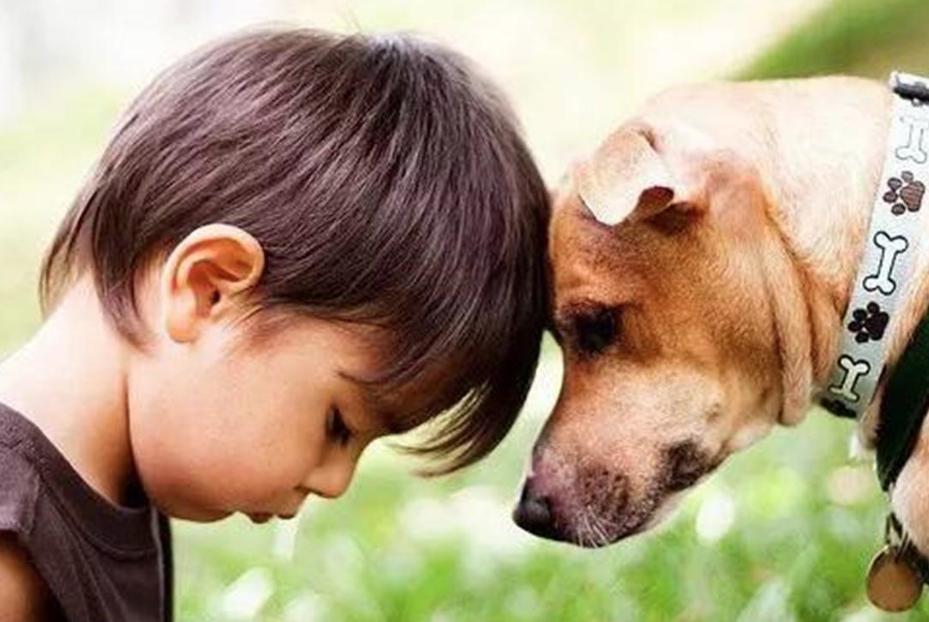 拒绝长大的彼得潘,如何走出彼得潘综合症