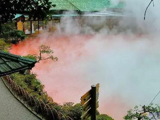 日本白川乡旅游攻略,上海去日本旅游最好的攻略