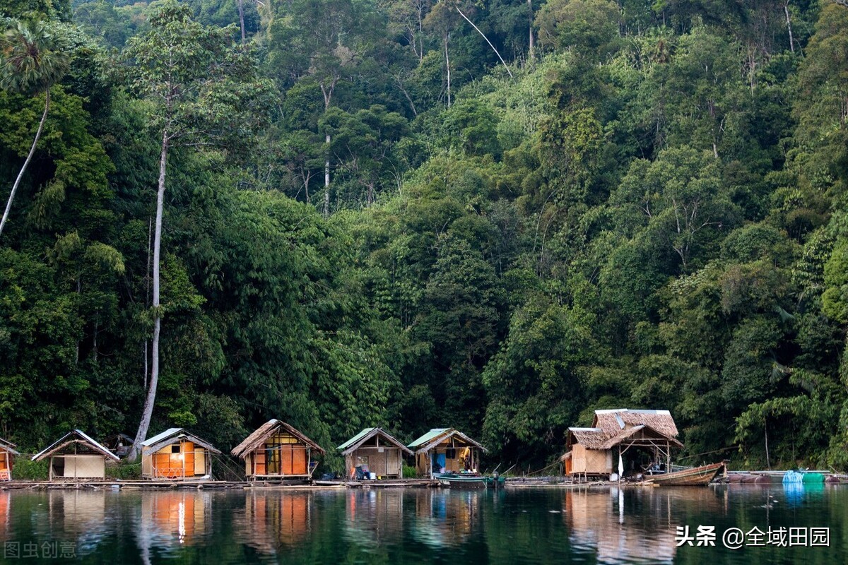 乡村民宿康养模式,民宿康养新思路