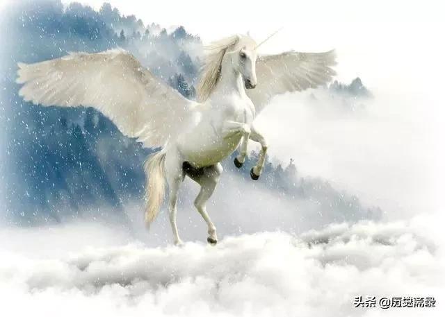 揭秘山海经的所有神兽,山海经75种神兽图片大全