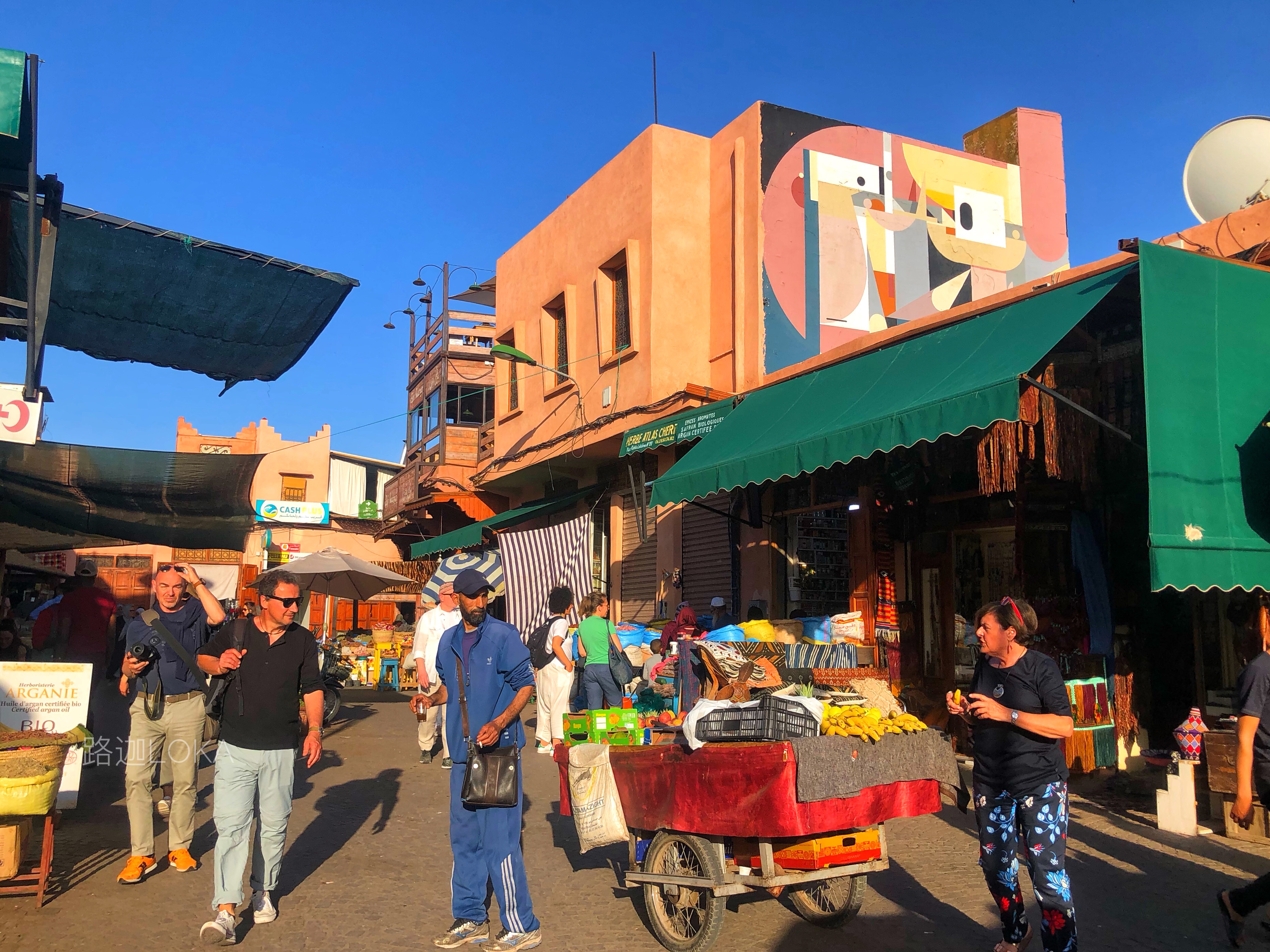 摩洛哥黑魔法,探秘神奇的摩洛哥