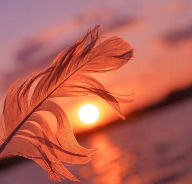 最新简单一句晚安心语,暖心晚安心语简单