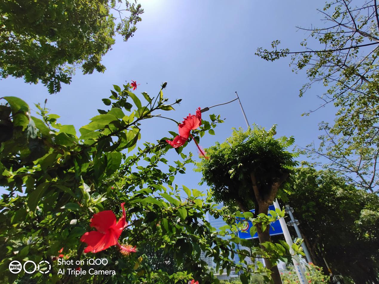 iqoo8pro5小时重度使用续航,iqoo重度使用视频