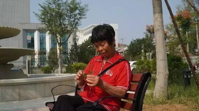 散文诗优秀摄影作品,十月的散文诗