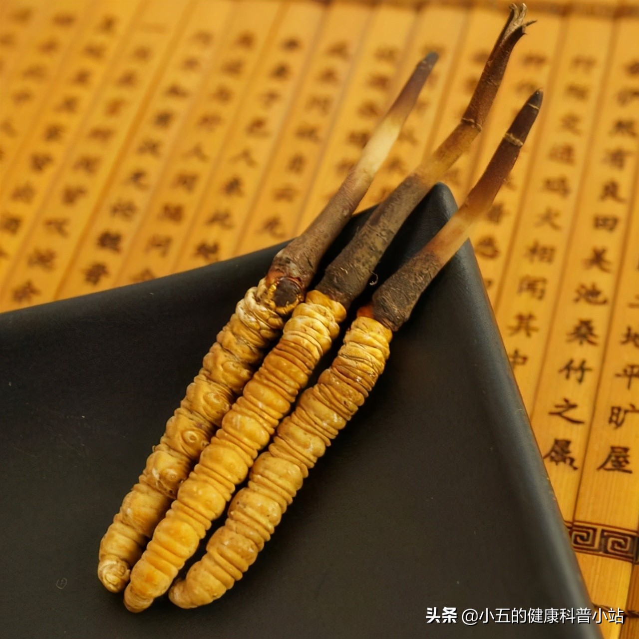 百令胶囊的十大功效主治疾病,中成药百令胶囊功效和副作用