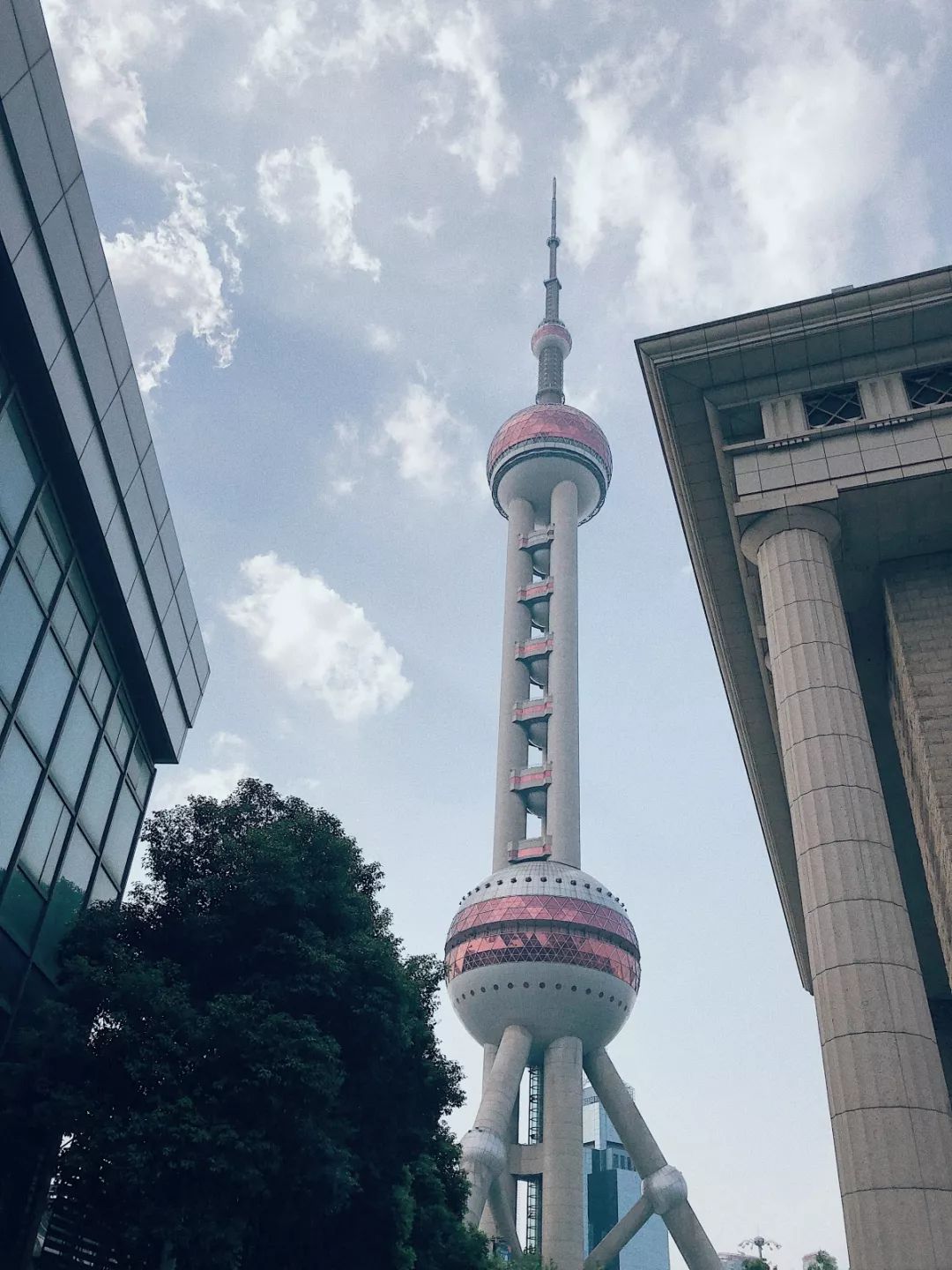 上海网红茶排行榜,江浙沪著名的茶叶品牌有哪些