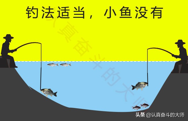 小杂鱼多了怎么避开小杂鱼,小杂鱼怎么治