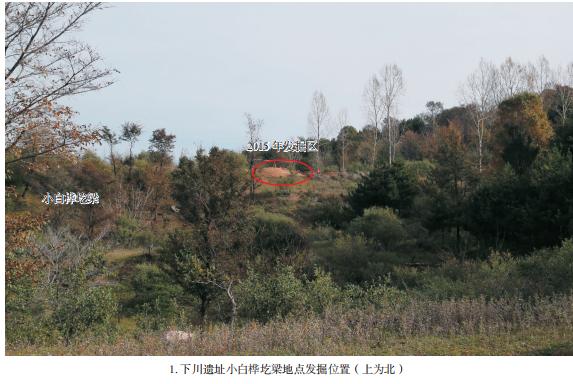 沁水下川遗址夏朝,沁水下川遗址简介