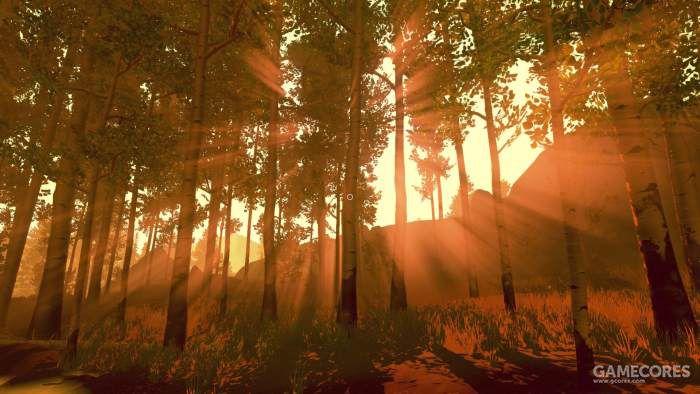 落基山脉森林,落基山森林