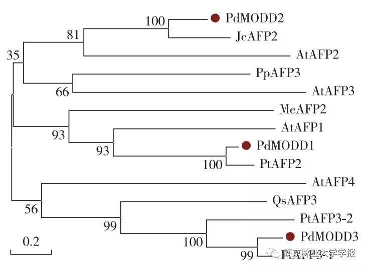 论文推荐||欧美杨PdMODD基因克隆与表达特性分析