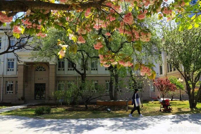 九大美院校园风景,中国九大美院校园风采