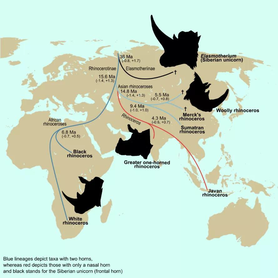 Cell|五万年前的DNA样品以及基因组大数据分析解析犀牛的演化历史