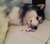 手帐的十大问题,盘点新手入门手帐容易踩的坑