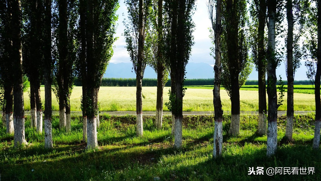 博尔塔拉大草原自驾游,克拉玛依独山子旅游攻略
