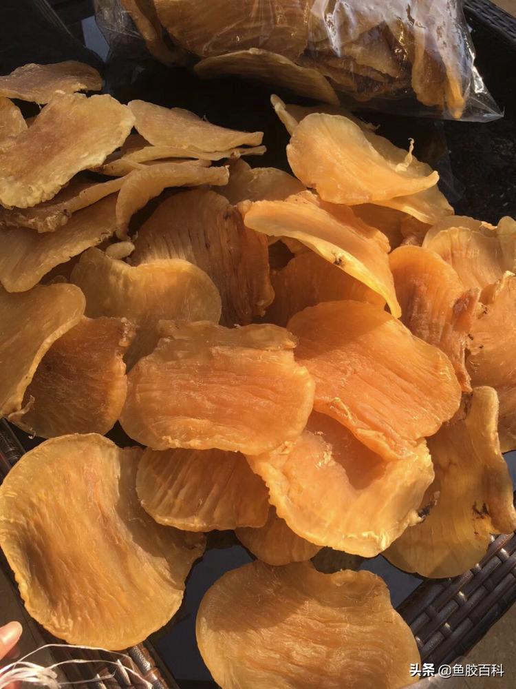 鱼胶花胶科普,鱼胶怎么买又便宜又有营养