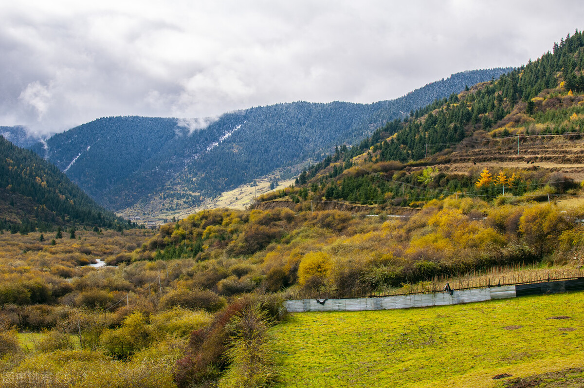 川西看彩林,川西自驾游看彩林攻略