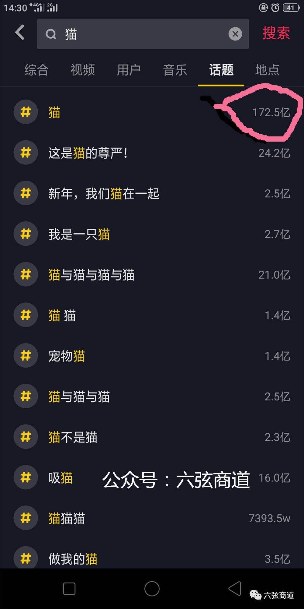 猫咪的火热市场,猫咪市场渠道