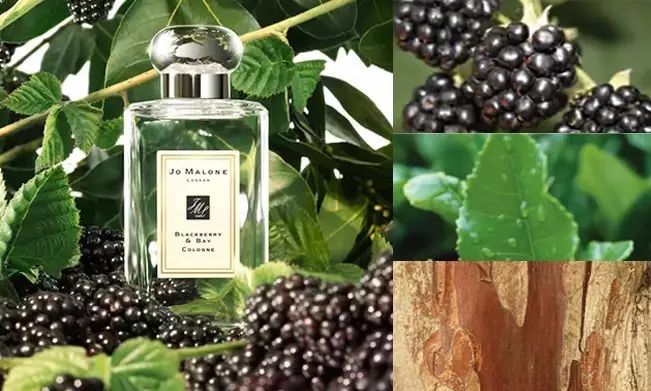 祖马龙香水5件套测评,祖玛珑香水哪个系列最好