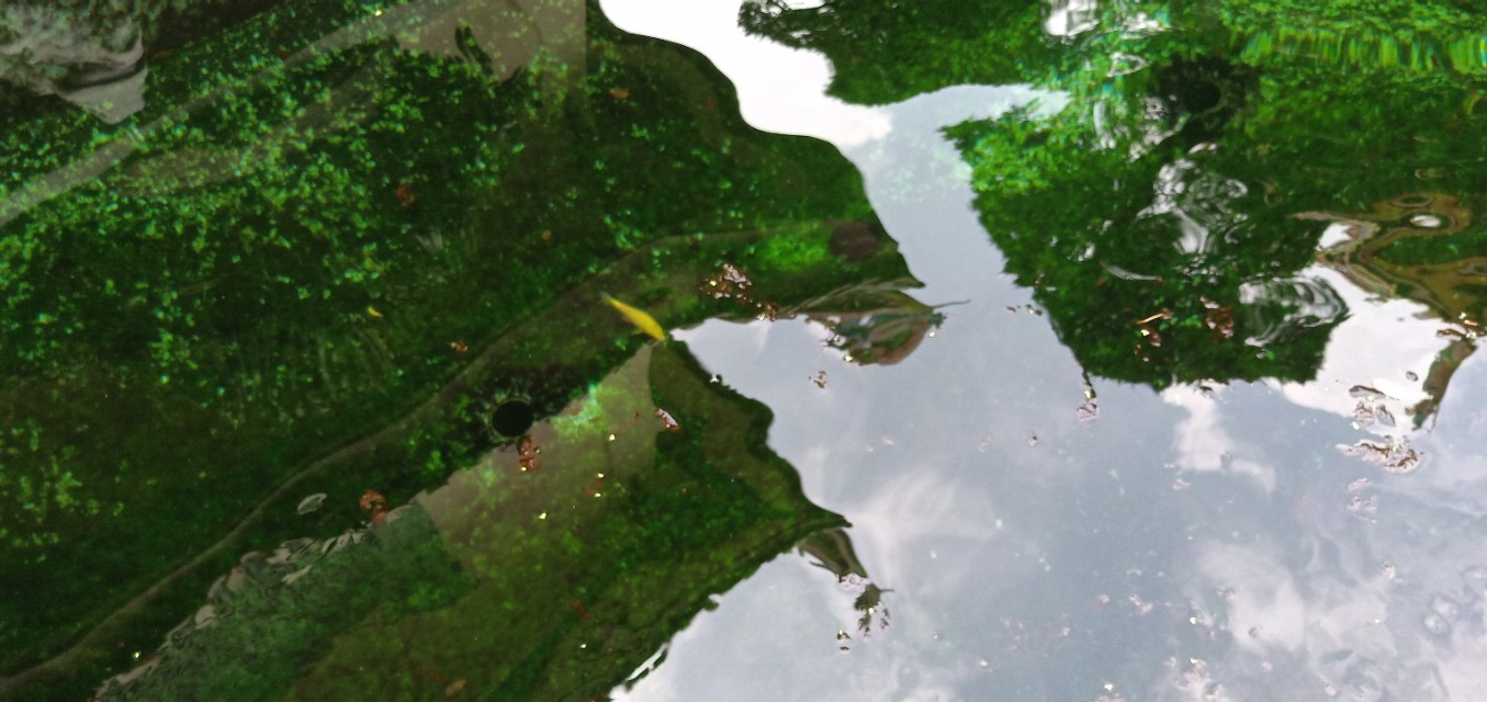 对未知的一切感到迷茫,生活中感到迷茫但不要迷失了自己